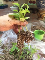 Perlite, trợ lọc, xử lý nước, lọc bia, lọc dầu, lọc acid, cách nhiệt, chống cháy, mái nhà, sàn nhà, tường, lò luyện, nhà máy cán thép, nhà máy đúc, nhà máy nhiệt điện, luyện kim.. Vermiculite, làm vườn, ươm cây, rau màm, nẩy mầm, cải tạo đất, tạo khoảng, tốt cho hoa, cây, củ 